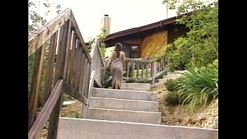 Anal Vision 28: A Complete Deep Dive